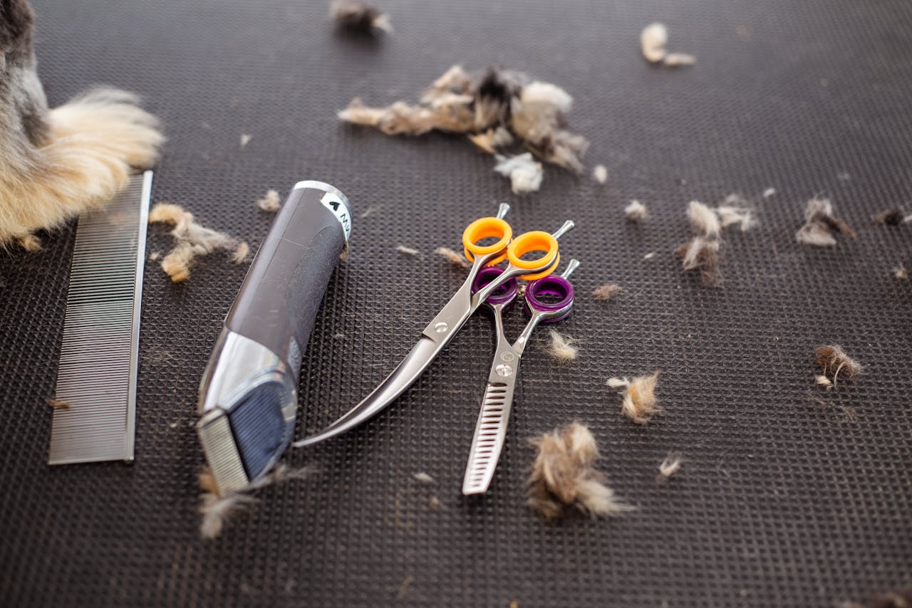 creative-03 Close-up of grooming tools including scissors, trimmer, and pet fur on a black mat.